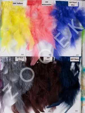 colorful turkey feather color chart