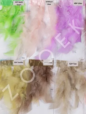 colorful turkey feather color chart