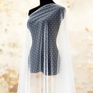 off white mini velvet polka dot flocked sheer mesh lace
